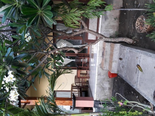 Kadek Homestay Amed image 1