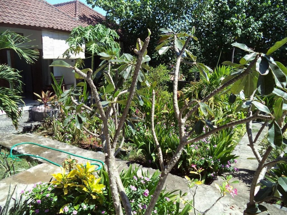 Kadek Homestay Amed Image 19