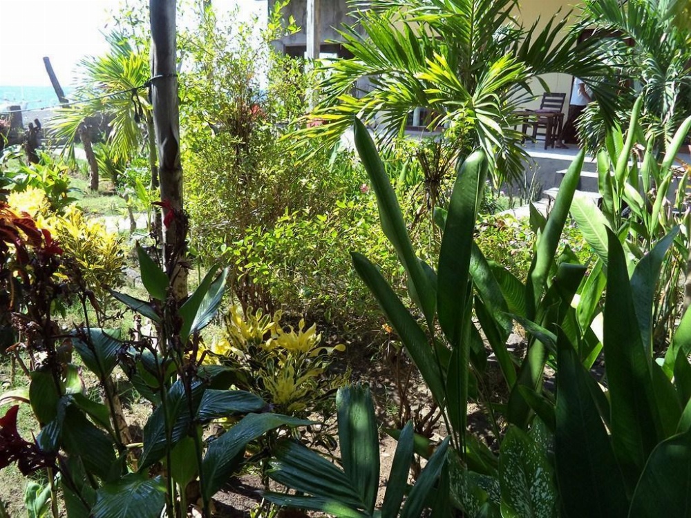 Kadek Homestay Amed Image 26