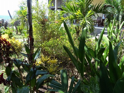 Kadek Homestay Amed image 26