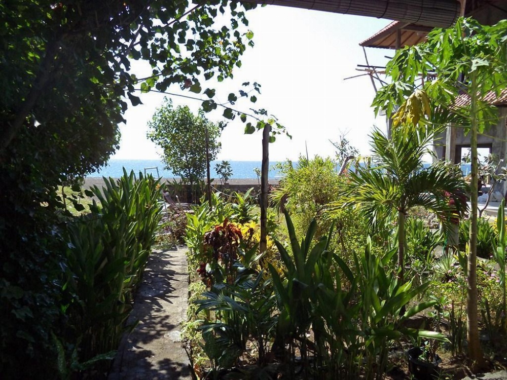 Kadek Homestay Amed Image 31