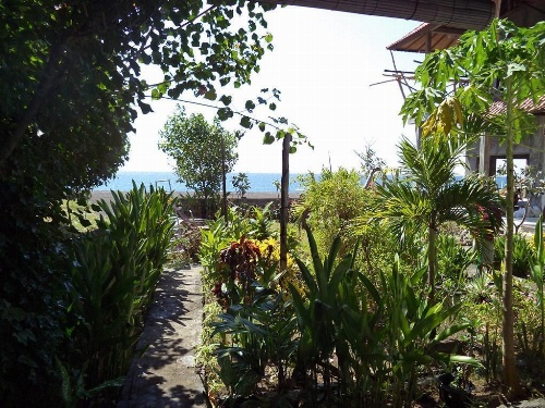 Kadek Homestay Amed image 31